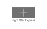 Logo Night Star Express Logo und Schriftzug der Overnight-Experten Night Star Express GmbH Logistik.